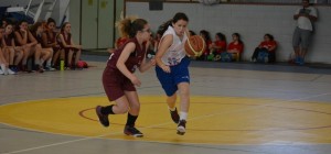 Resultados do Basquetebol 2016