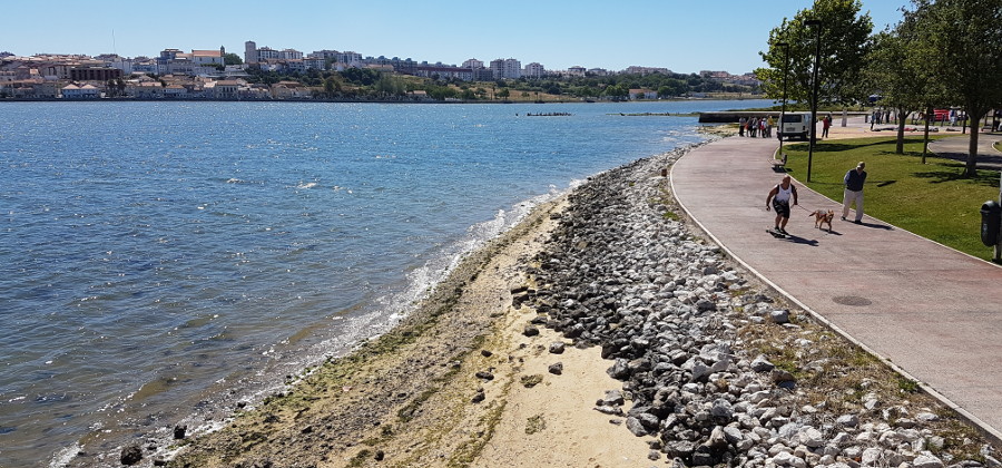 Canoagem na Frente Ribeirinha de Amora