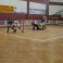 Hóquei em Patins