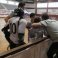 Hóquei em Patins