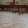 Hóquei em Patins