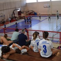 Voleibol