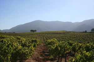 Região de Setúbal