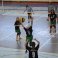 Voleibol