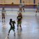 Voleibol