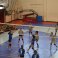Voleibol