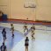 Voleibol