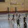 Voleibol